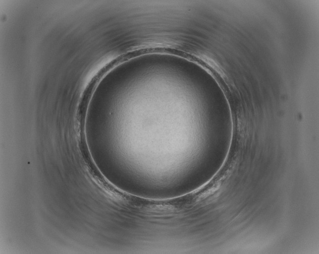 X0000075821119200609221327