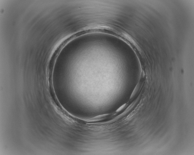 X0000075821124200609221327