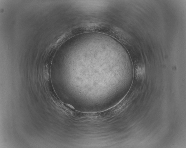 X0000075821204200609221325
