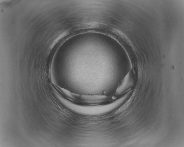 X0000075821210200609221325