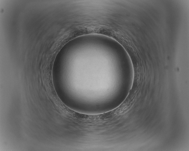 X0000075821249200609221325