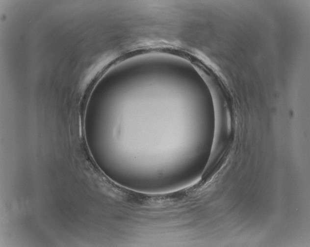 X0000075821269200609221325