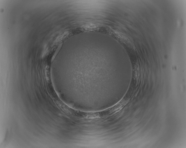 X0000075821346200609221323