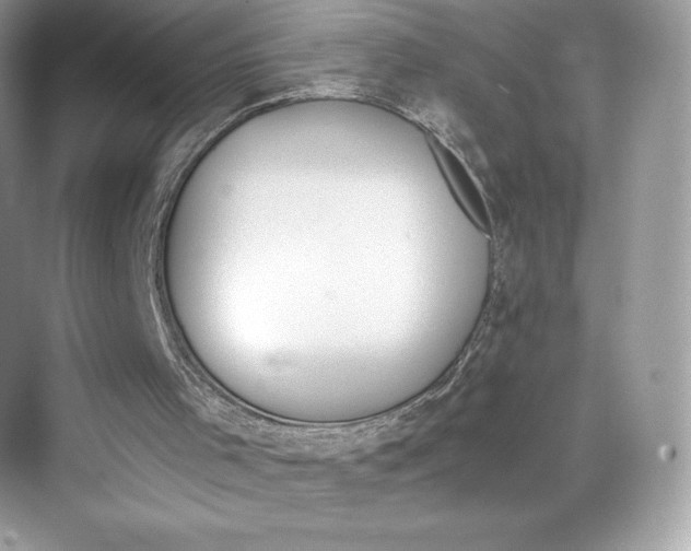 X0000075820001200609291423