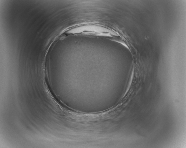 X0000075820002200609291423