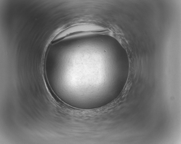 X0000075820003200609291423