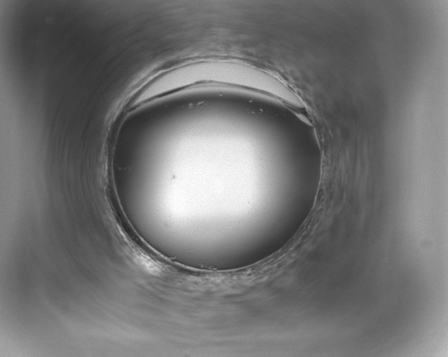 X0000075820005200609291423