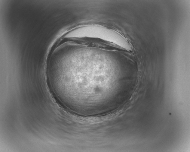 X0000075820006200609291423