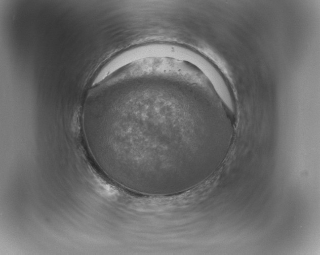 X0000075820009200609291423