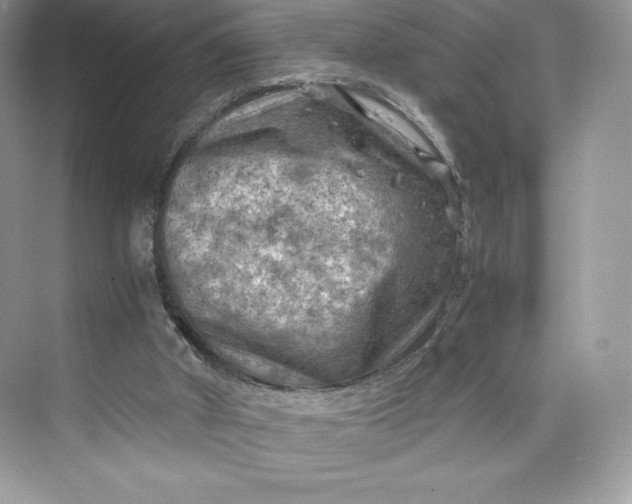 X0000075820010200609291423