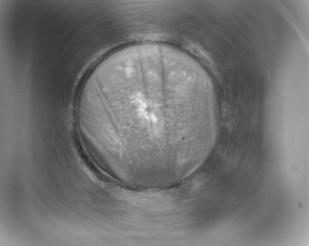 X0000075820012200609291423