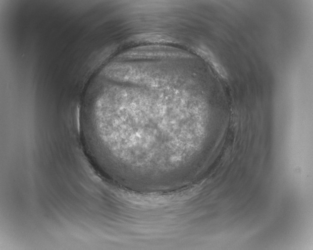 X0000075820014200609291423