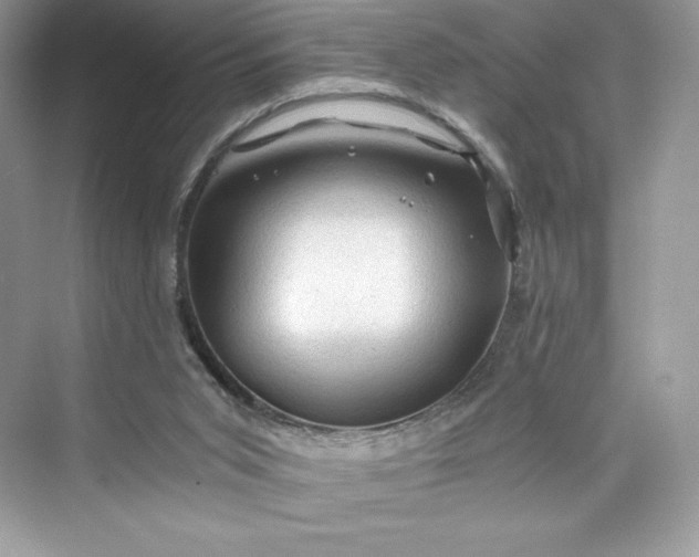 X0000075820015200609291423