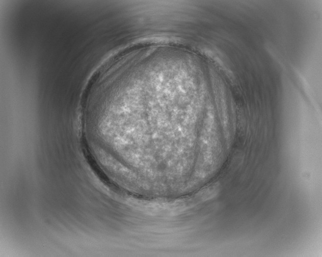 X0000075820016200609291423