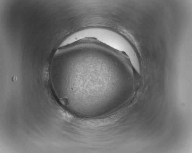 X0000075820017200609291423