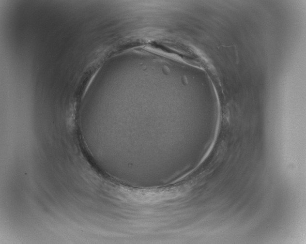 X0000075820018200609291423