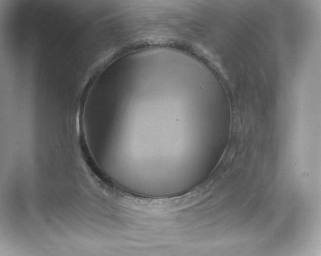 X0000075820019200609291423