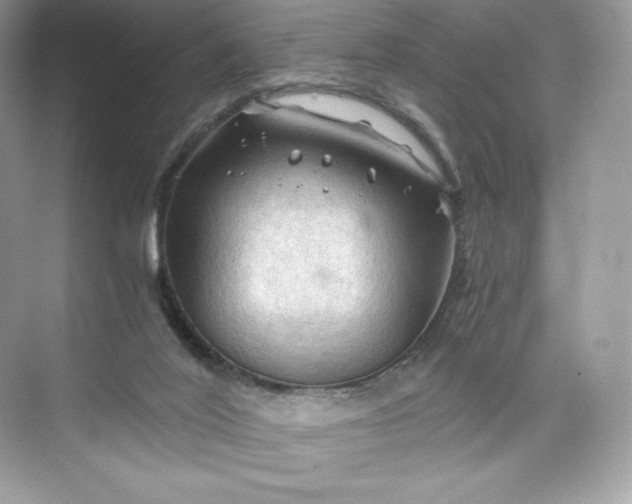 X0000075820020200609291423