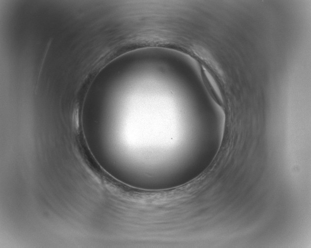 X0000075820021200609291423