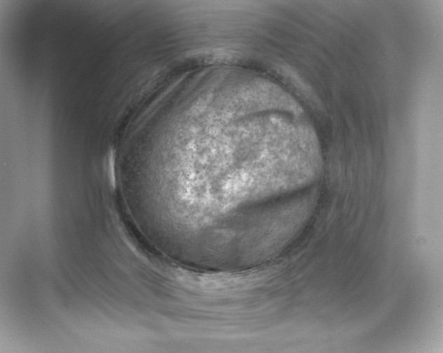 X0000075820022200609291423