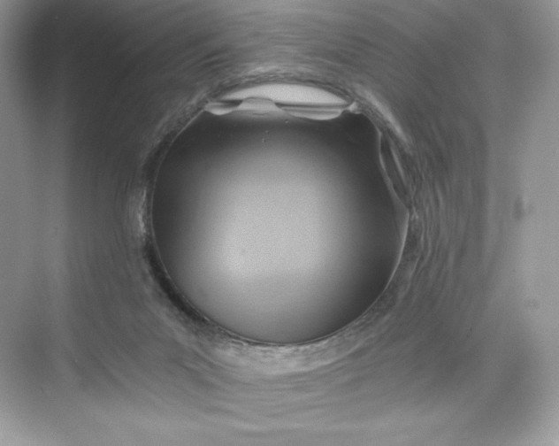 X0000075820023200609291423