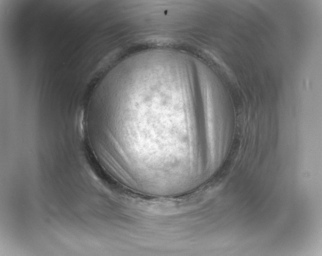 X0000075820024200609291422