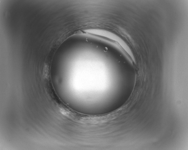 X0000075820025200609291422