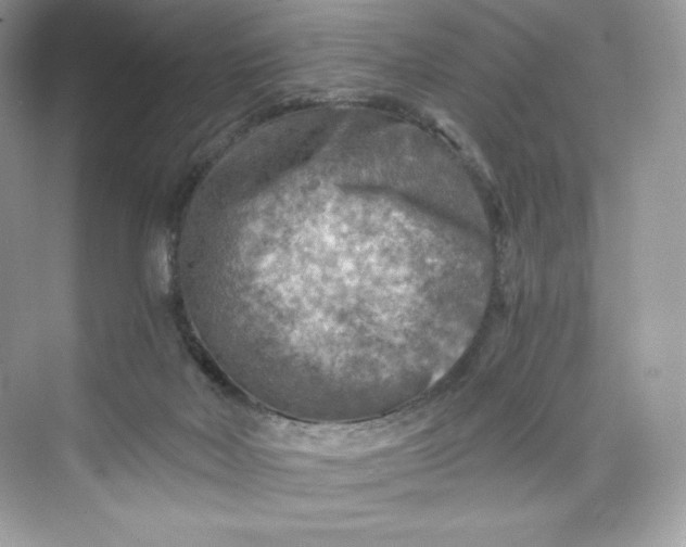 X0000075820026200609291422