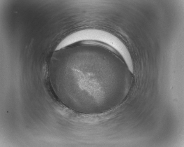 X0000075820029200609291422