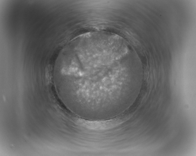 X0000075820030200609291422