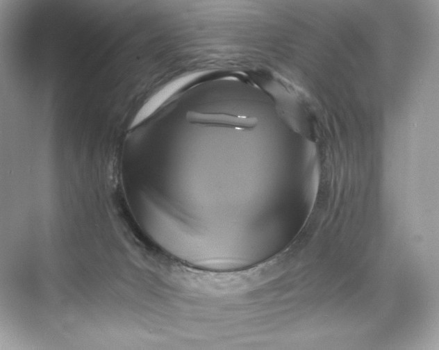 X0000075820031200609291422