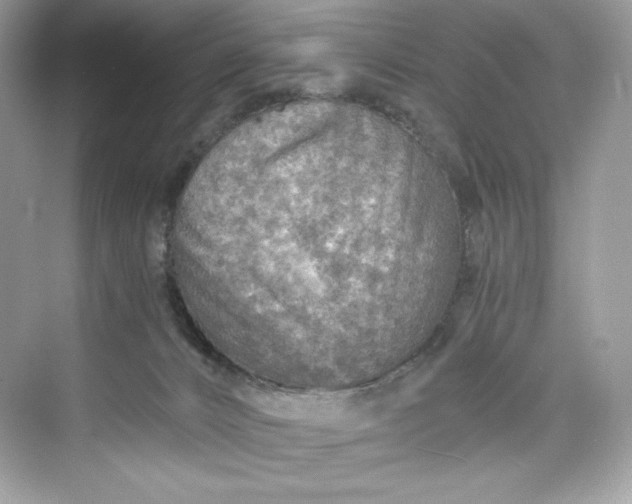 X0000075820032200609291422