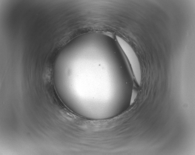 X0000075820033200609291422