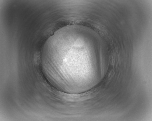 X0000075820034200609291422