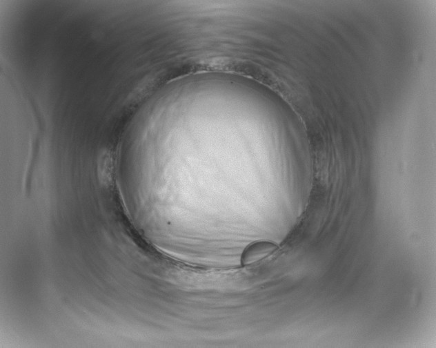 X0000075820036200609291422