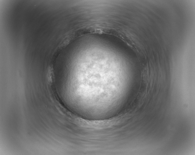 X0000075820038200609291422