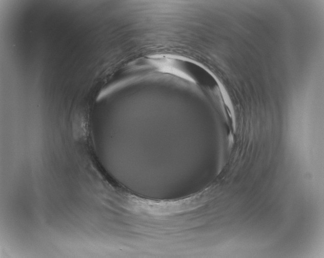 X0000075820039200609291422