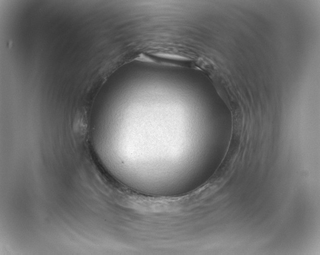 X0000075820040200609291422