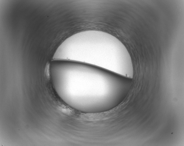 X0000075820041200609291422