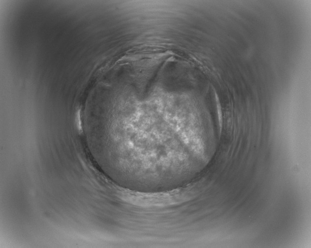 X0000075820042200609291422