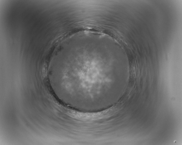 X0000075820043200609291422