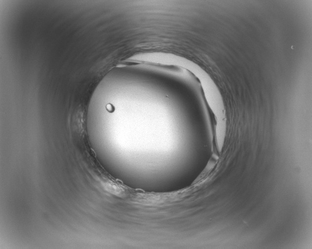 X0000075820045200609291422