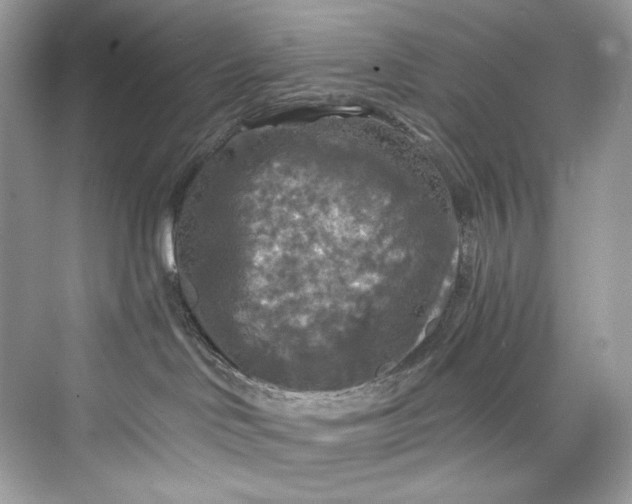 X0000075820046200609291422