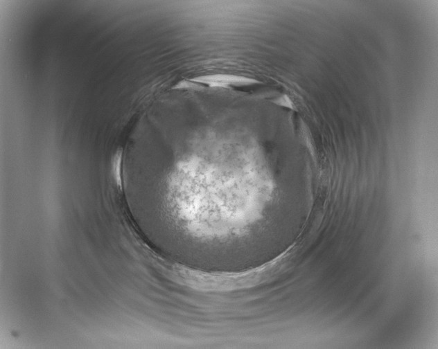 X0000075820047200609291422