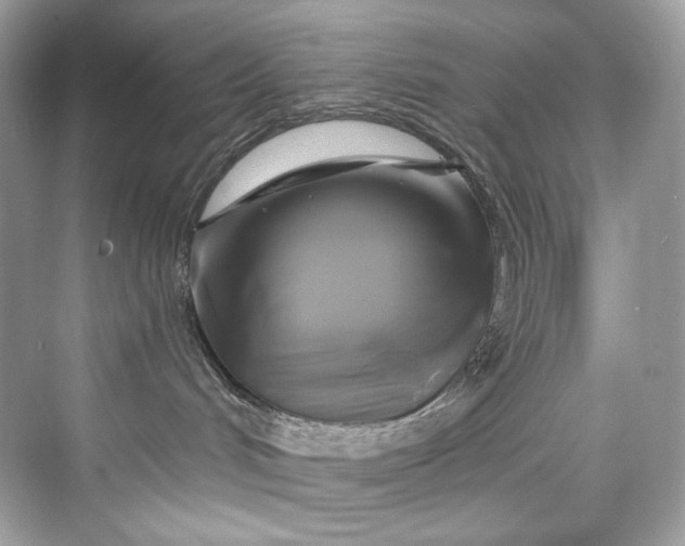 X0000075820048200609291422