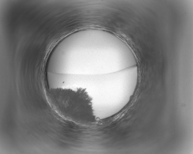 X0000075820049200609291421