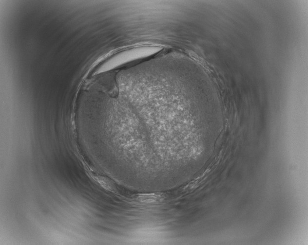 X0000075820050200609291421