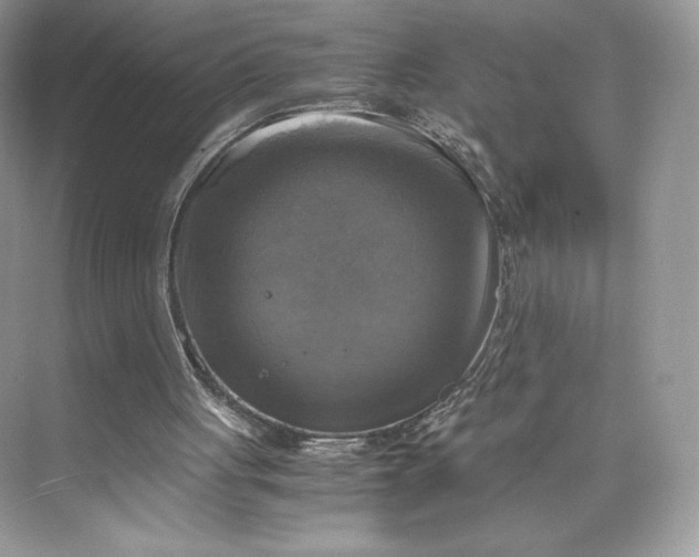 X0000075820051200609291421