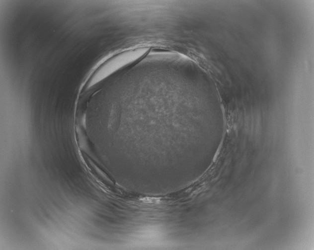 X0000075820052200609291421