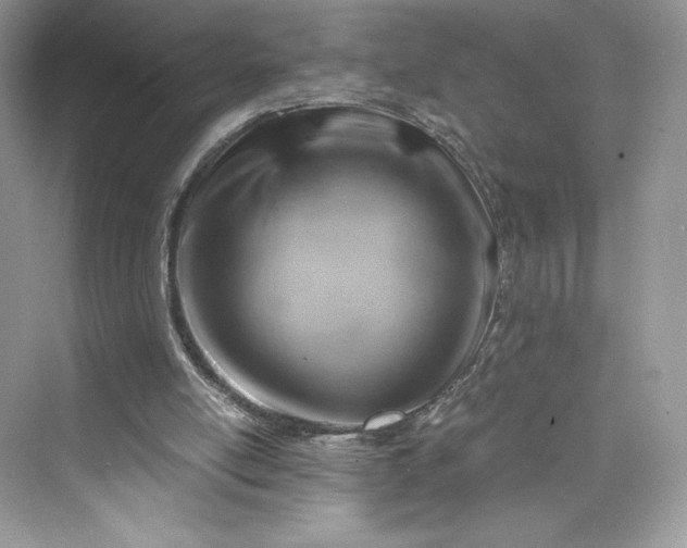 X0000075820054200609291421